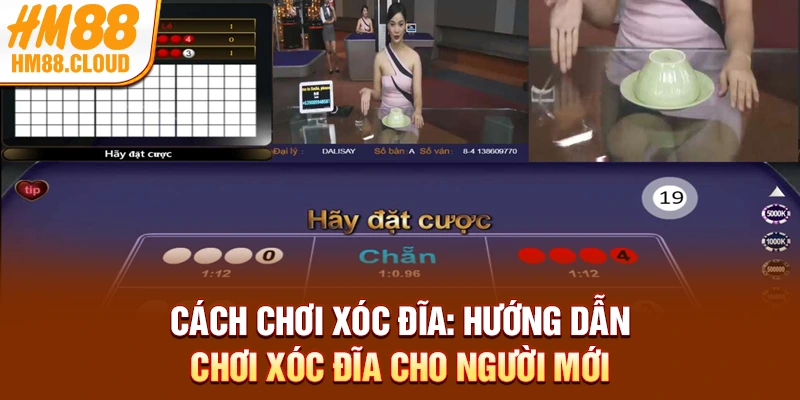 Cách Chơi Xóc Đĩa: Hướng Dẫn Chơi Xóc Đĩa Cho Người Mới