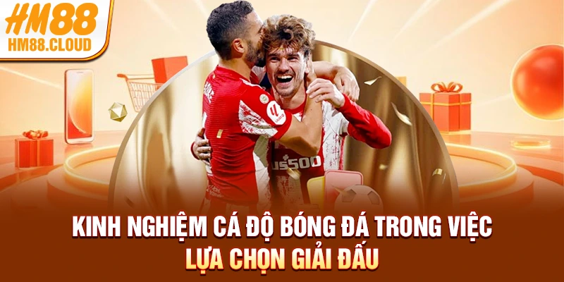 Kinh nghiệm cá độ bóng đá trong việc lựa chọn giải đấu